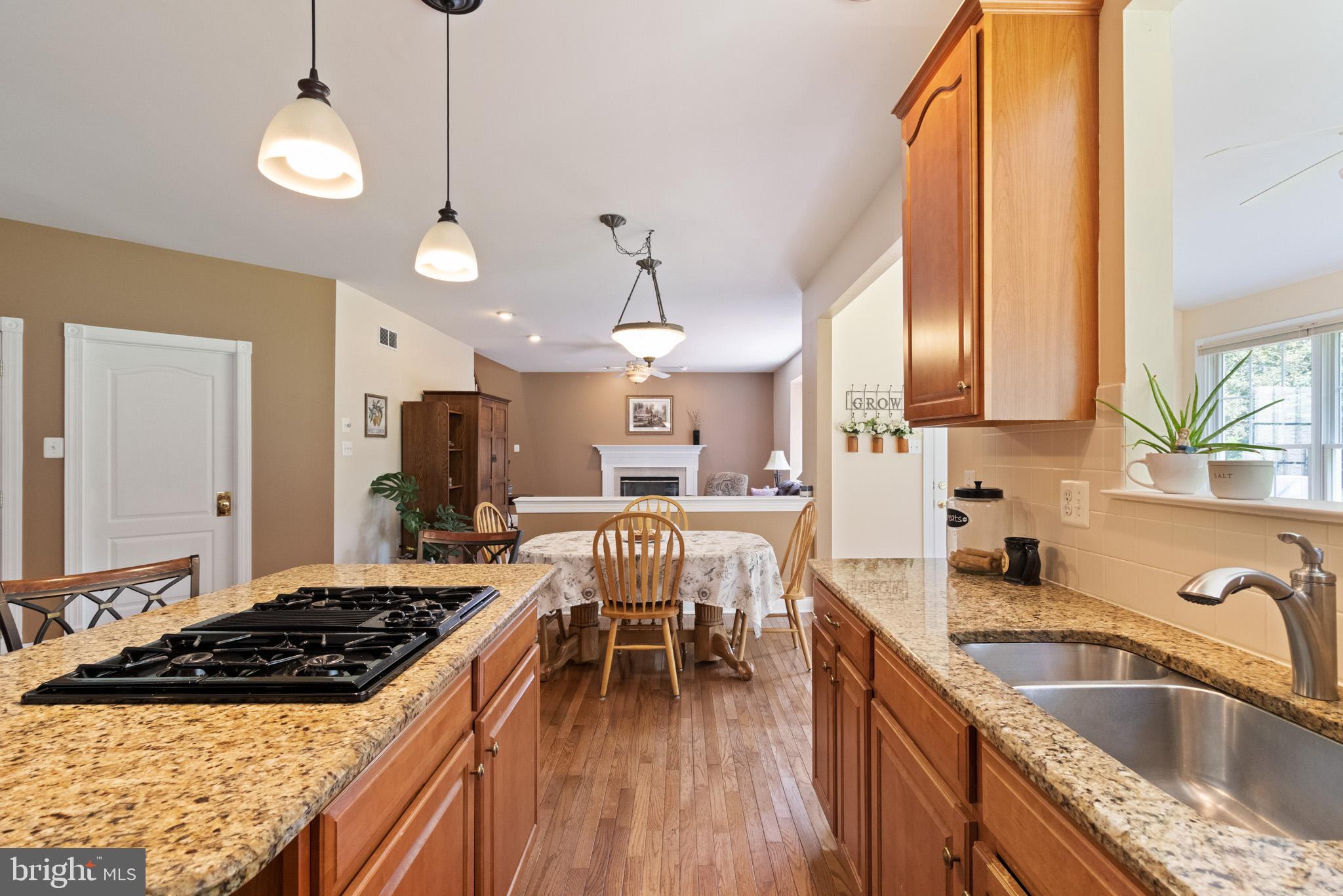 471 Springview Lane Phoenixville, PA 19460 - Photo 7 of 54 Gallery Image 7