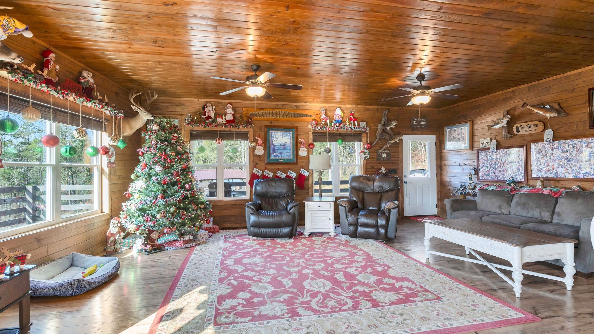 225 Kelso-Smithland Road Kelso, TN 37348 - Photo 12 of 51 a living room with furniture and a potted plant