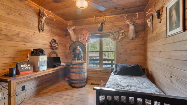 a view of a backyard with trees