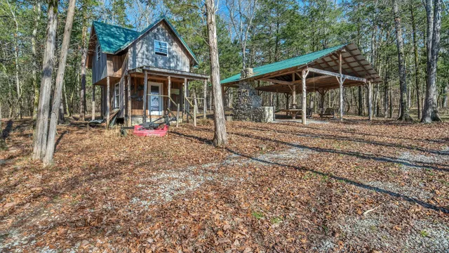 a view of a dry yard with trees in the background