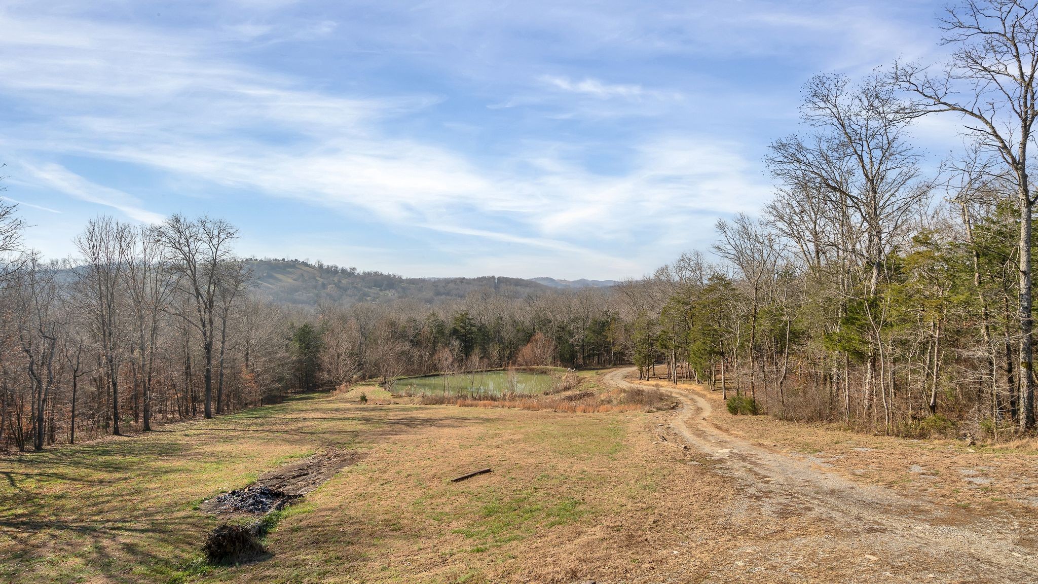 225 Kelso-Smithland Road Kelso, TN 37348 - Photo 32 of 51 a view of a dry yard with trees in the background