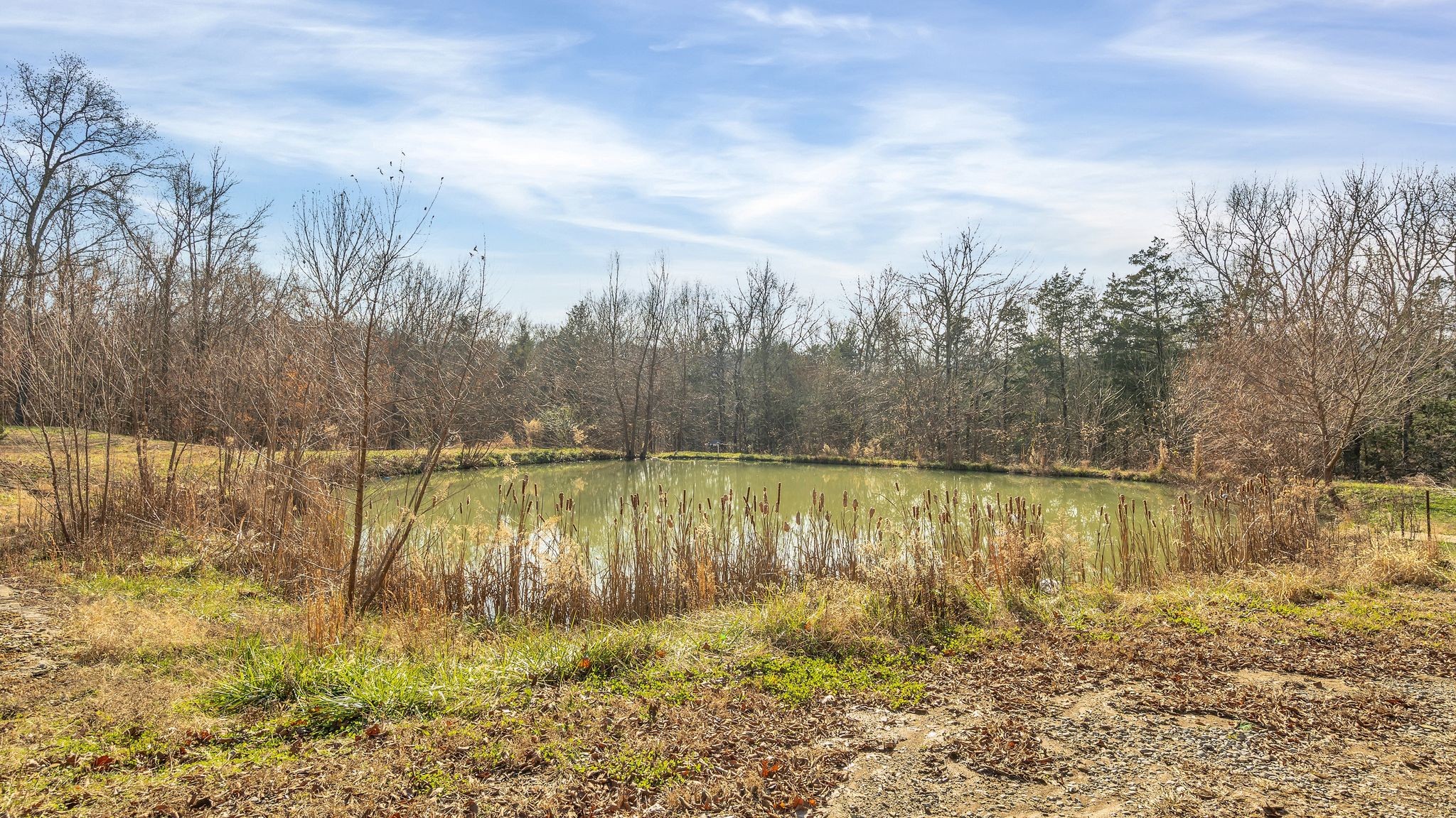 225 Kelso-Smithland Road Kelso, TN 37348 - Photo 33 of 51