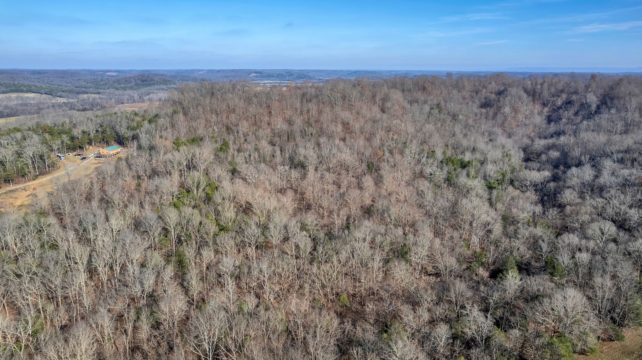 225 Kelso-Smithland Road Kelso, TN 37348 - Photo 41 of 51 a view of a dry top of forest