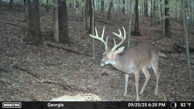 $650,000 | 225 Kelso-Smithland Road, Kelso, TN 37348