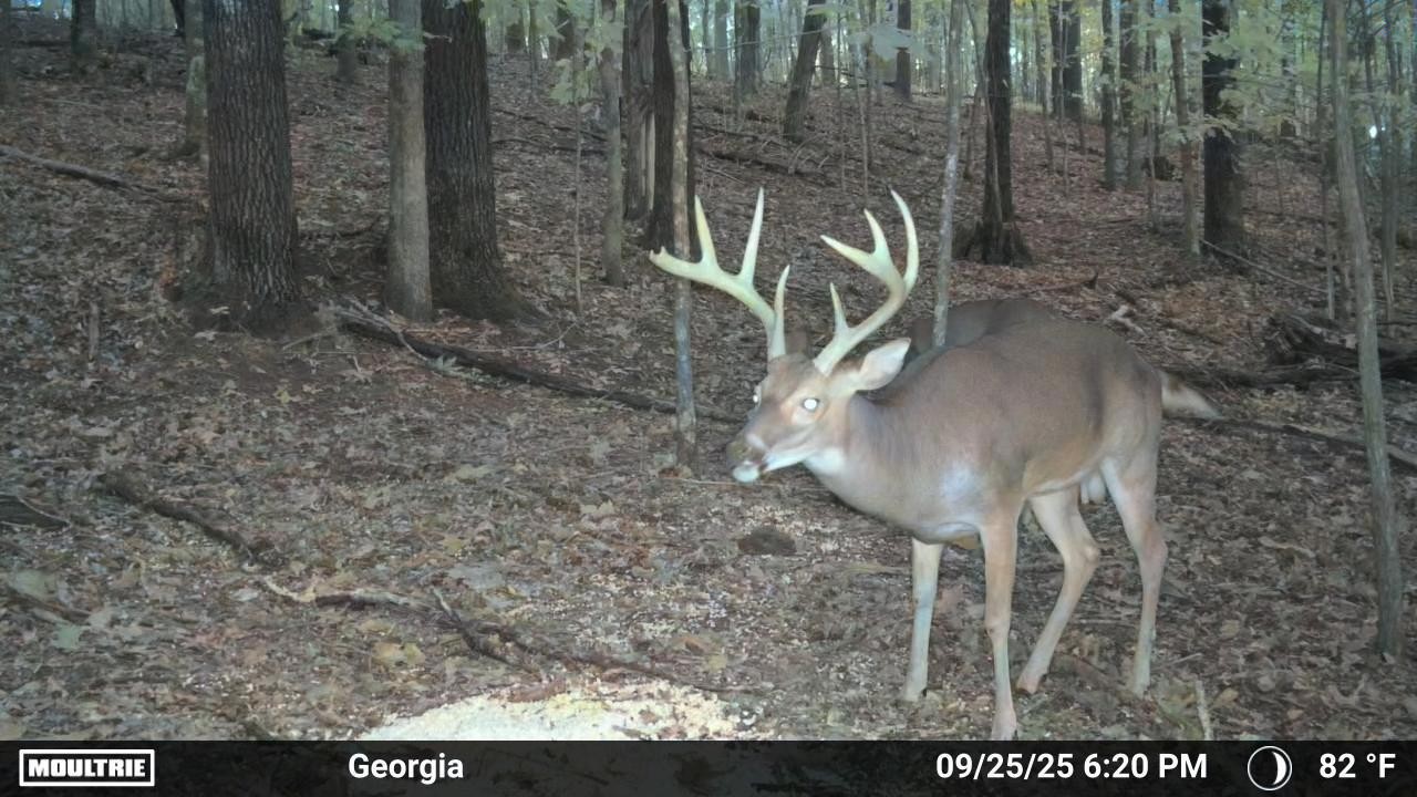 225 Kelso-Smithland Road Kelso, TN 37348 - Photo 47 of 51