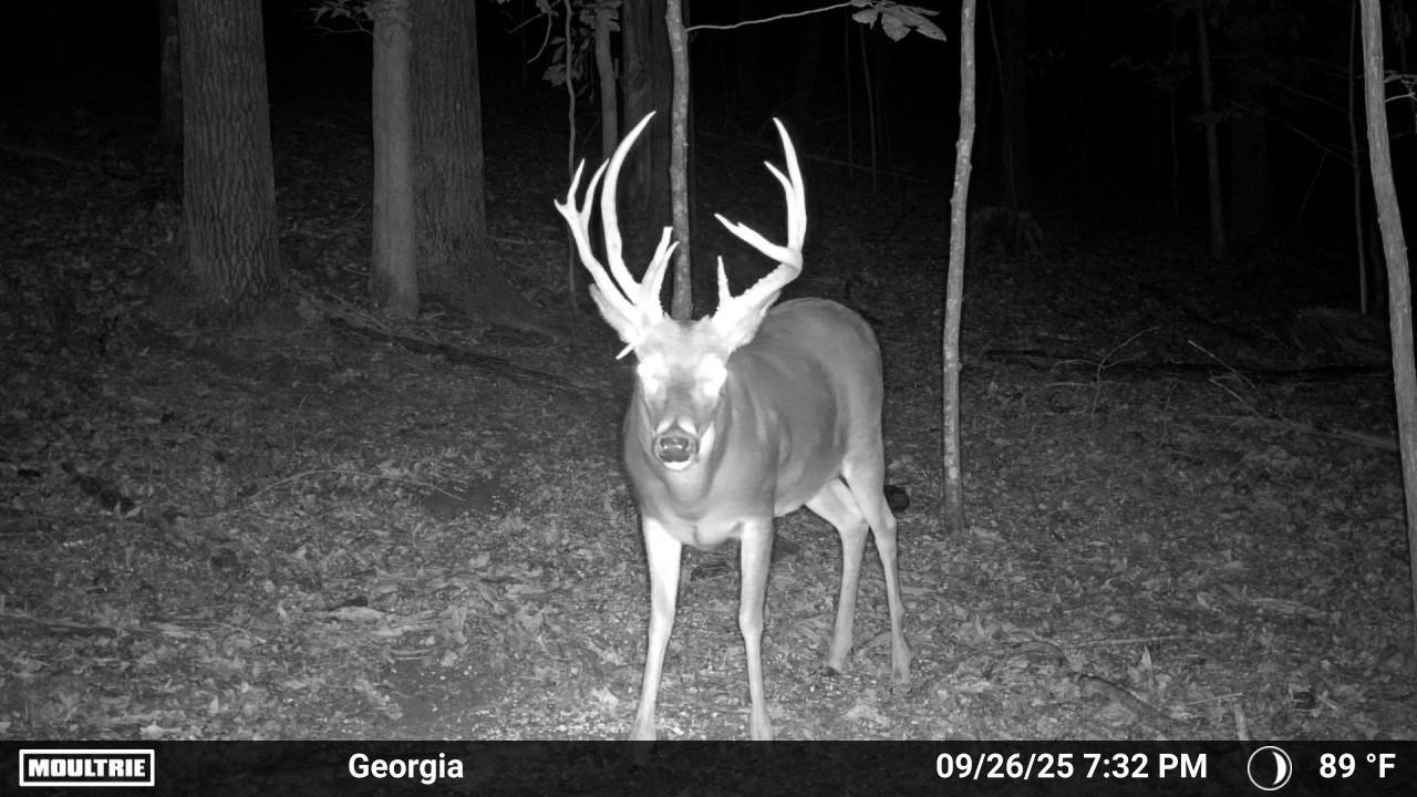 225 Kelso-Smithland Road Kelso, TN 37348 - Photo 48 of 51