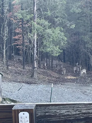 $650,000 | 225 Kelso-Smithland Road, Kelso, TN 37348