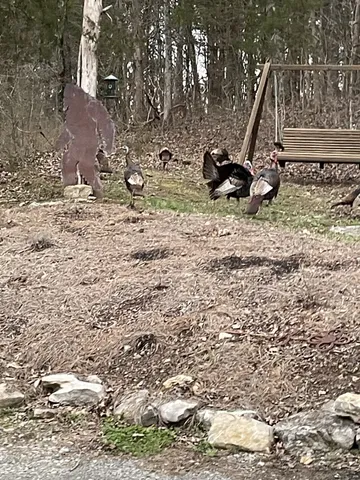 $650,000 | 225 Kelso-Smithland Road, Kelso, TN 37348