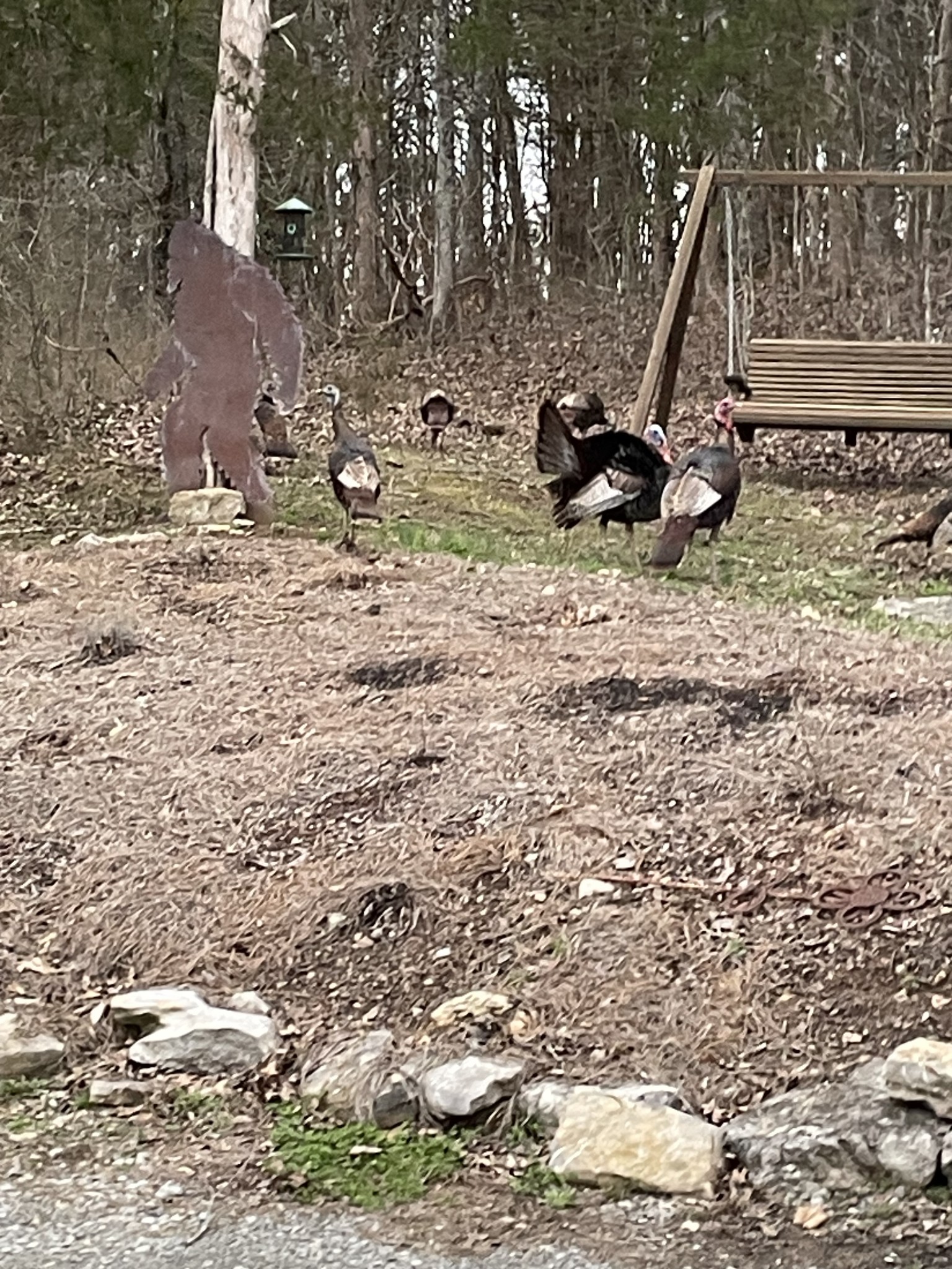 225 Kelso-Smithland Road Kelso, TN 37348 - Photo 50 of 51