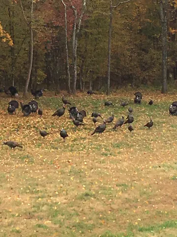 $650,000 | 225 Kelso-Smithland Road, Kelso, TN 37348