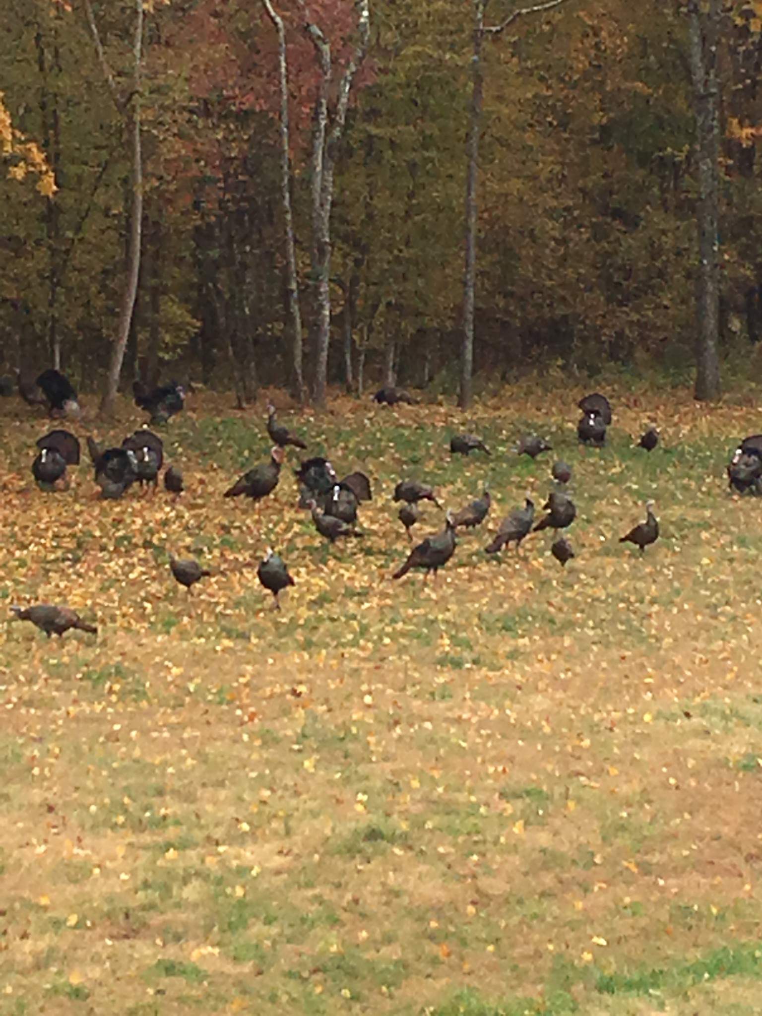 225 Kelso-Smithland Road Kelso, TN 37348 - Photo 51 of 51 a bathroom with a sink