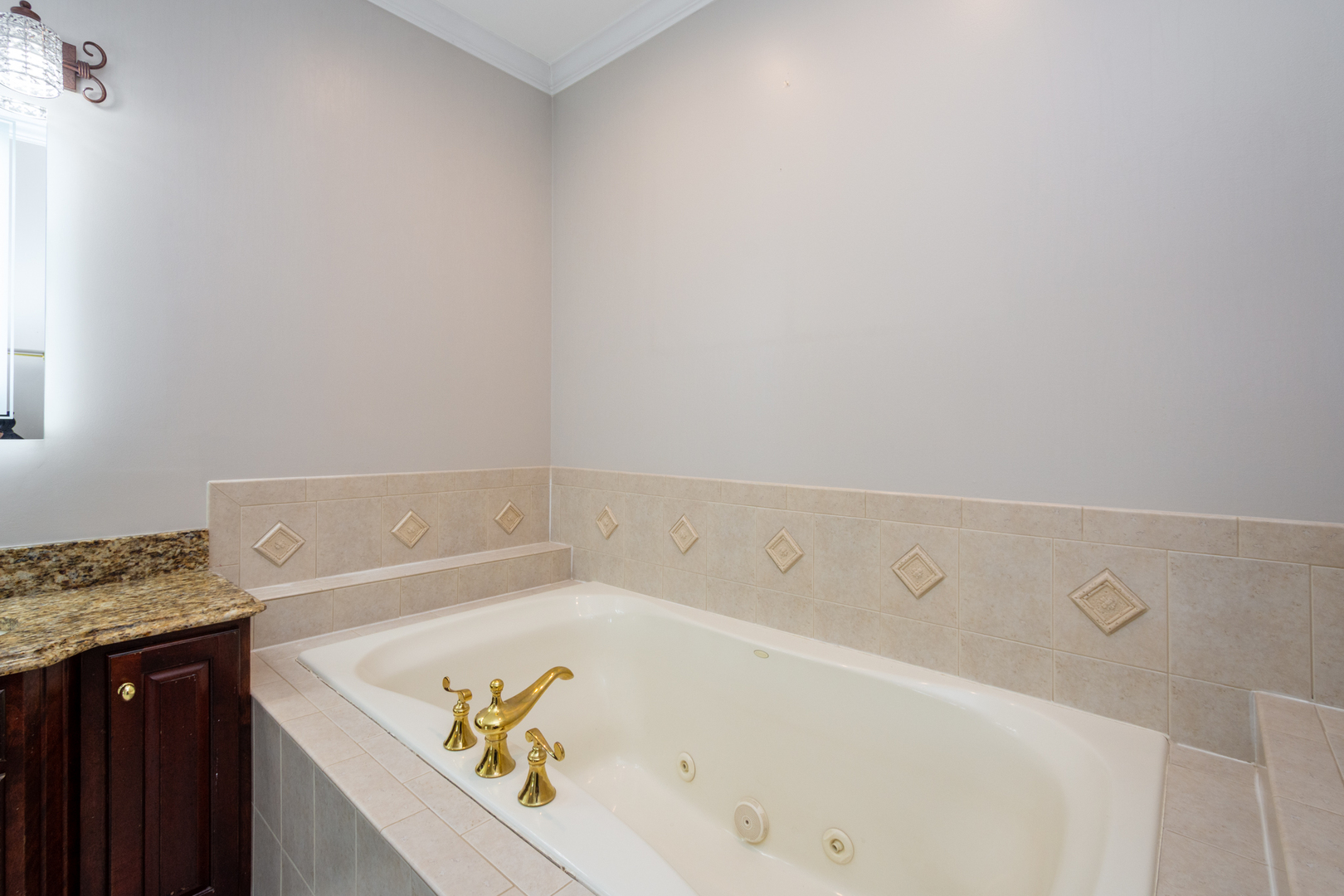 10303 Fox Bluff Lane Spring Grove, IL 60081 - Photo 17 of 44 a bathroom with a bathtub