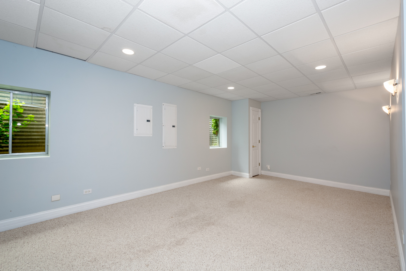 10303 Fox Bluff Lane Spring Grove, IL 60081 - Photo 28 of 44 an empty room with windows