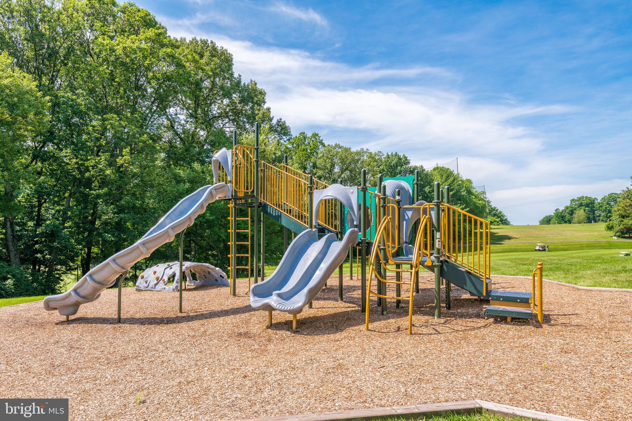 11769 Indian Ridge Road Reston, VA 20191 - Photo 45 of 48