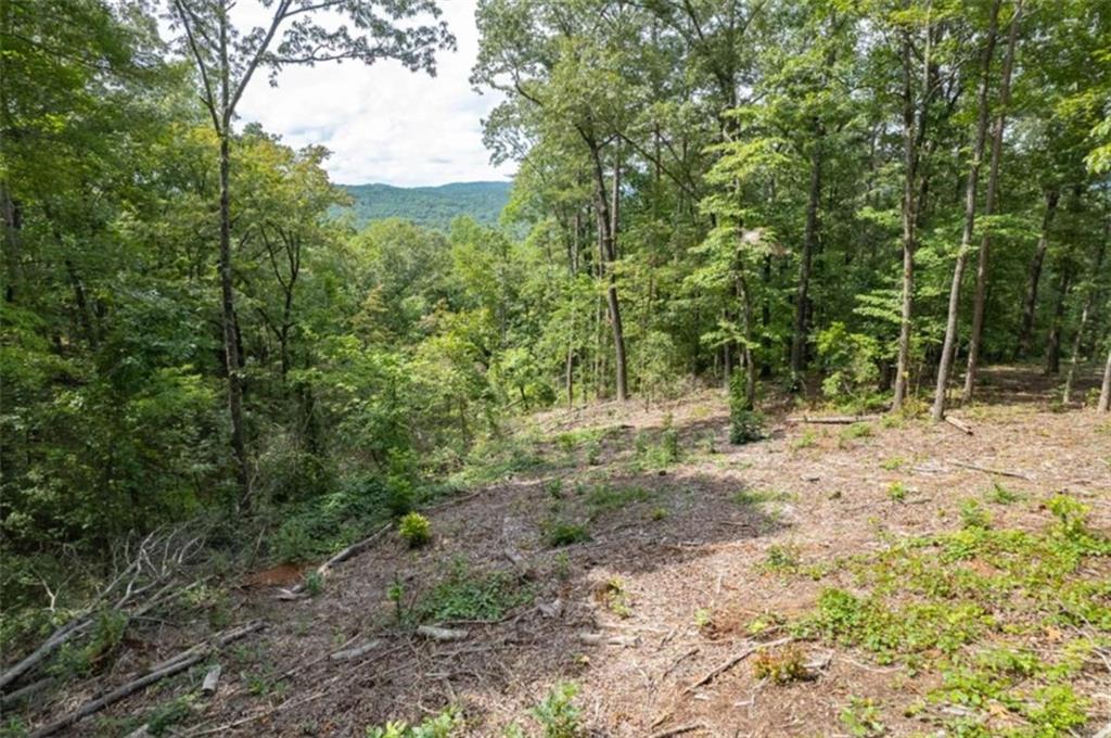 314 Pebble Trace Talking Rock, GA 30175 - Photo 2 of 10 a view of a forest with trees