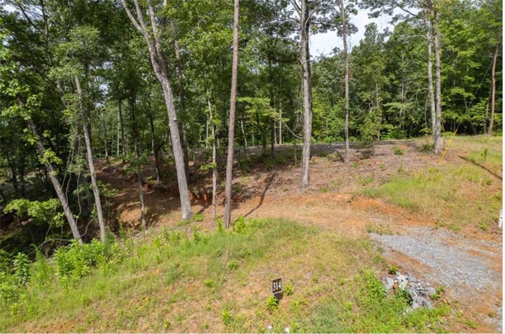 314 Pebble Trace Talking Rock, GA 30175 - Photo 3 of 10 a view of a backyard with trees