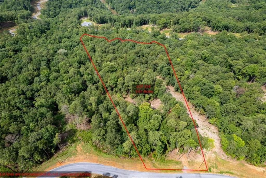 314 Pebble Trace Talking Rock, GA 30175 - Photo 4 of 10 a view of a yard with plants