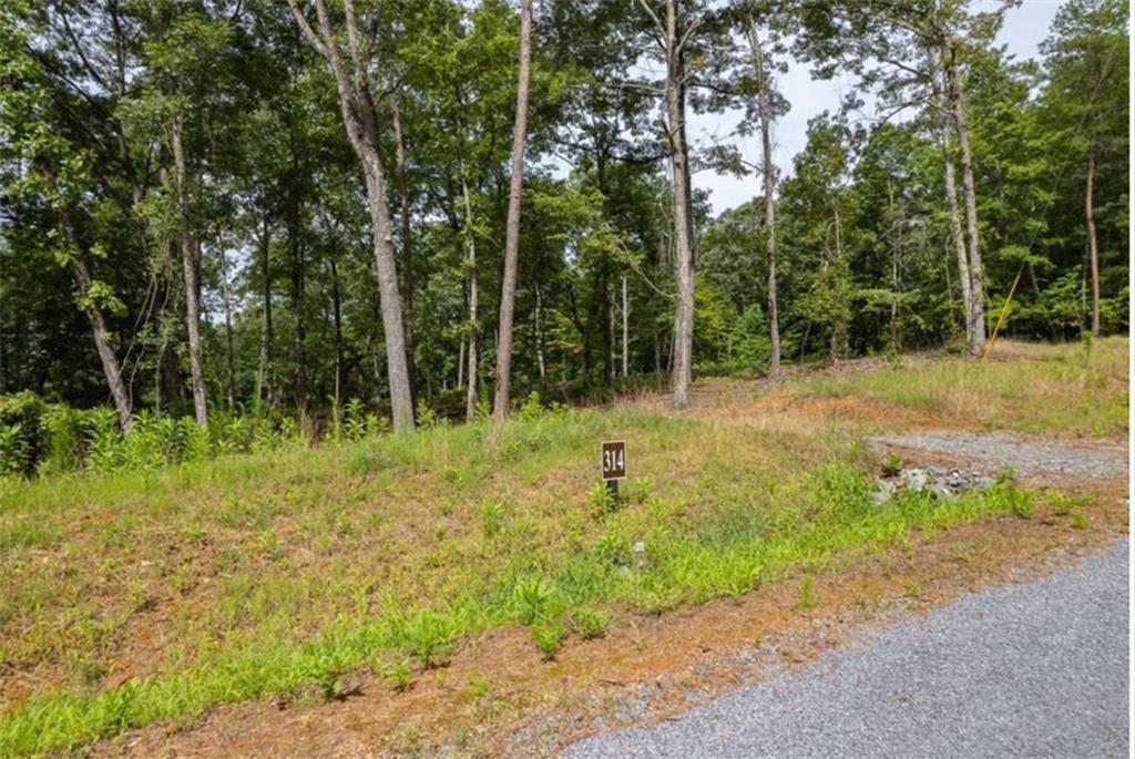 314 Pebble Trace Talking Rock, GA 30175 - Photo 5 of 10 a view of backyard with green space