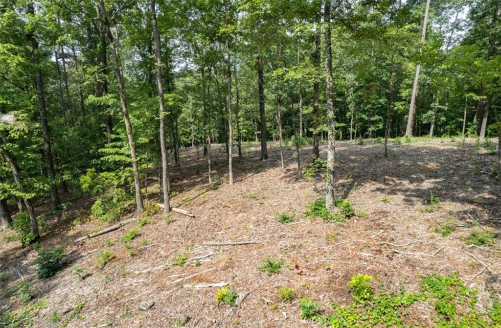 314 Pebble Trace Talking Rock, GA 30175 - Photo 6 of 10 a view of backyard with tree