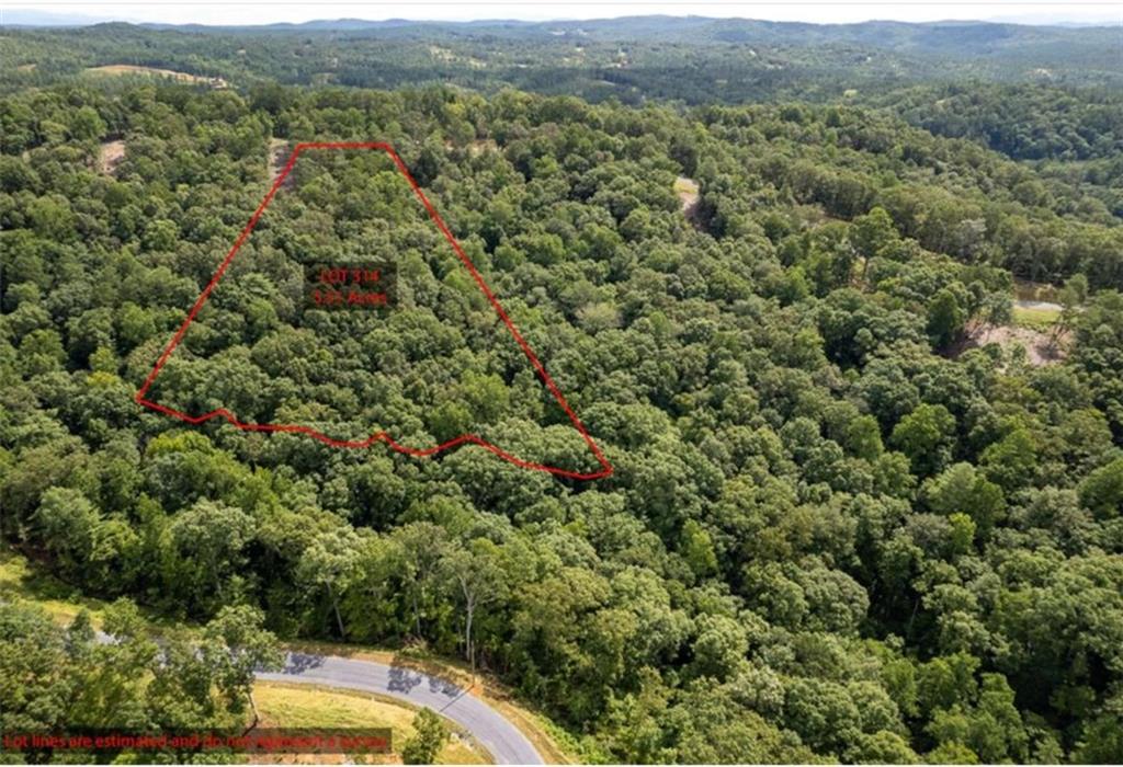 314 Pebble Trace Talking Rock, GA 30175 - Photo 7 of 10 a view of a city and mountains