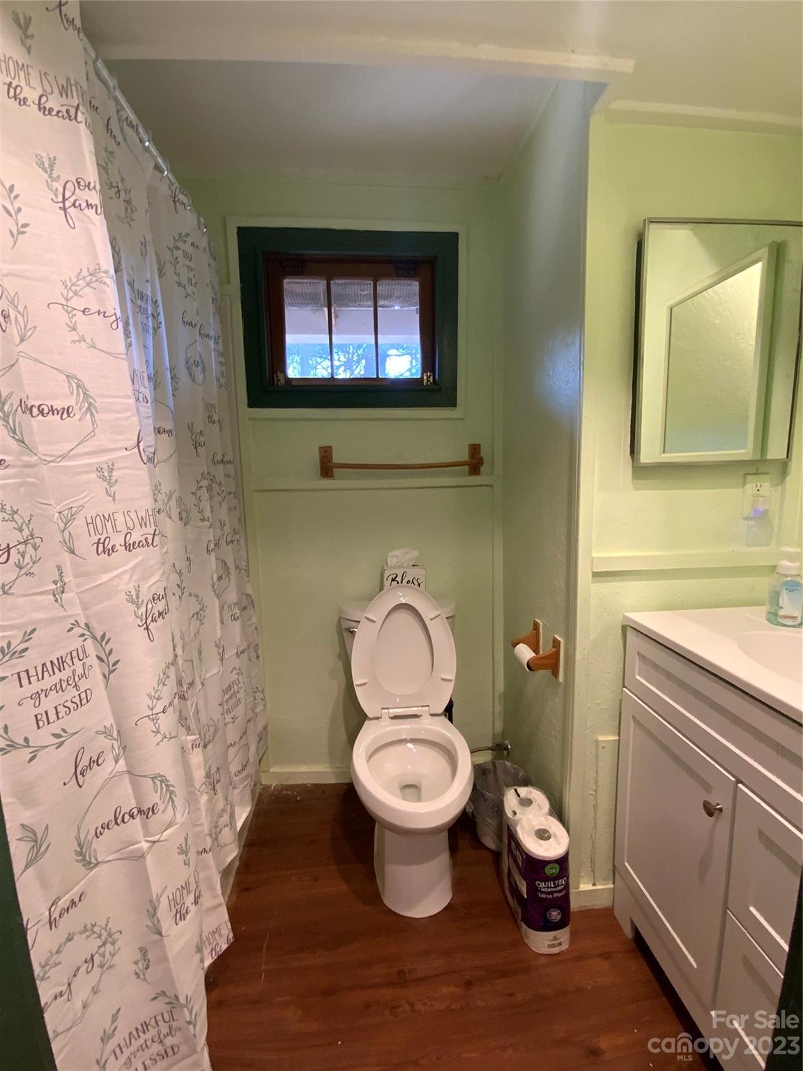 281 Spring Water Drive Brevard, NC 28712 - Photo 13 of 14 a bathroom with a toilet sink and mirror