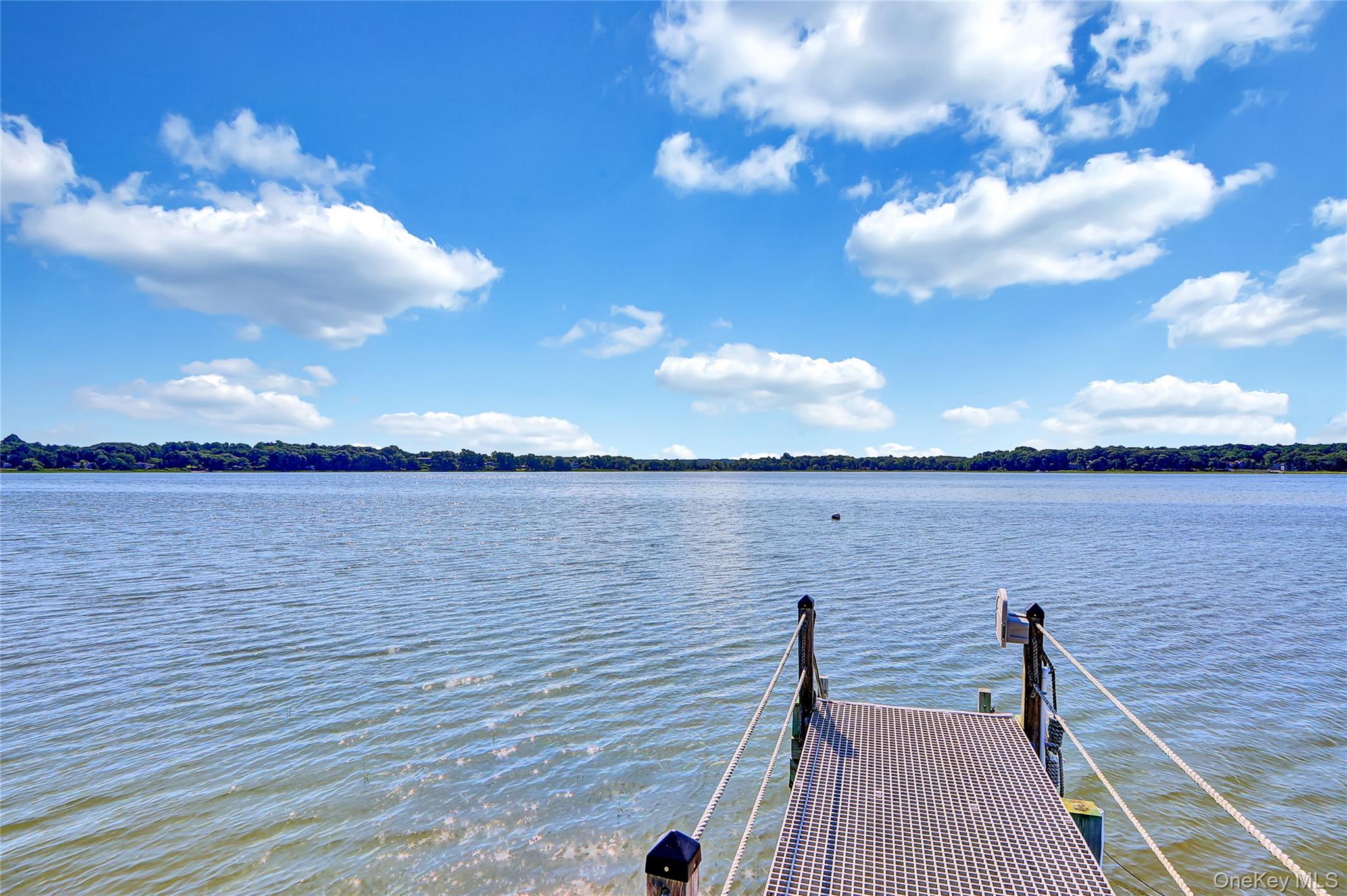 111 Old Field Road Setauket, NY 11733 - Photo 36 of 47