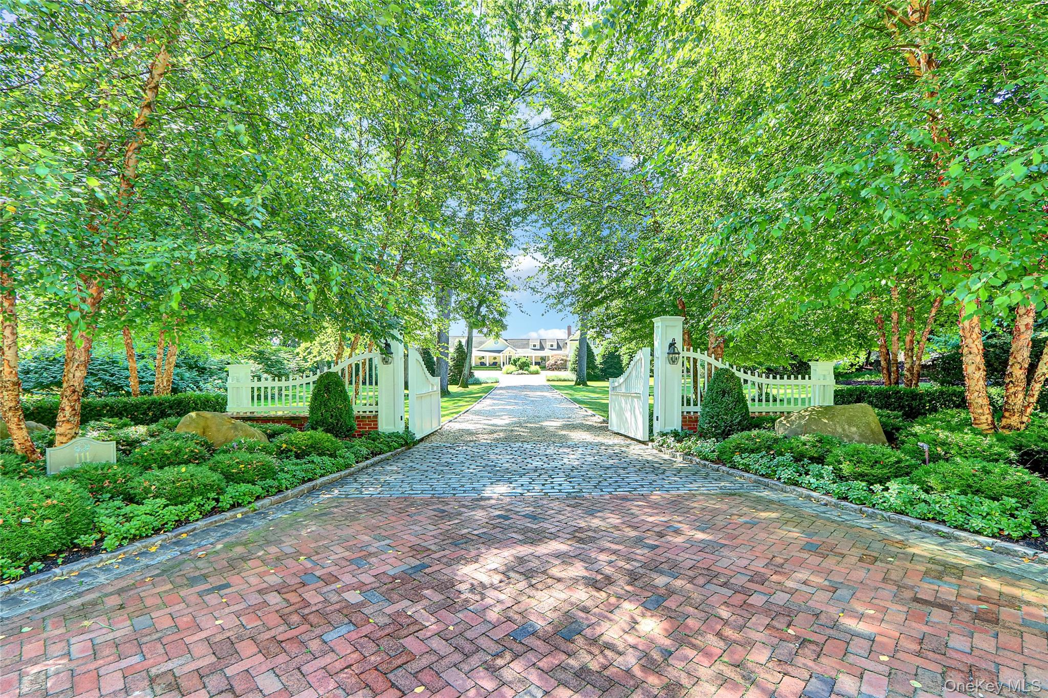 111 Old Field Road Setauket, NY 11733 - Photo 46 of 47 a view of a yard with plants and a large trees