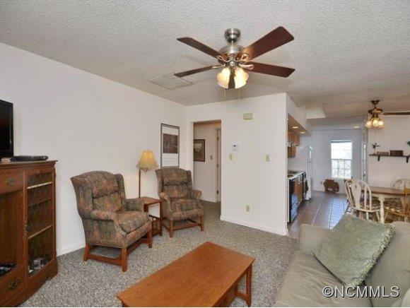 1 Delano Road Asheville, NC 28805 - Photo 2 of 10 Gallery Image 2