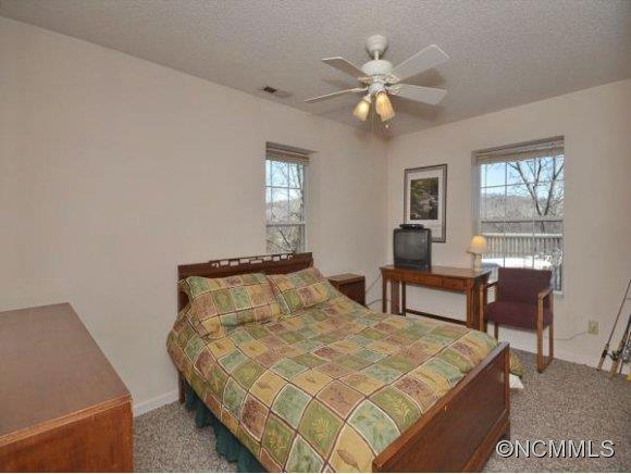 1 Delano Road Asheville, NC 28805 - Photo 6 of 10 Gallery Image 6
