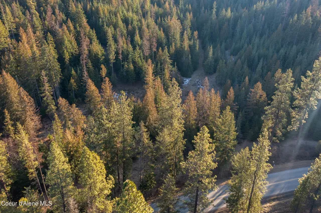 $225,000 | Nna Nna Sophie Hills, Harrison, ID 83833