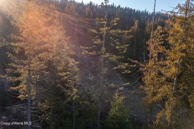 $225,000 | Nna Nna Sophie Hills, Harrison, ID 83833