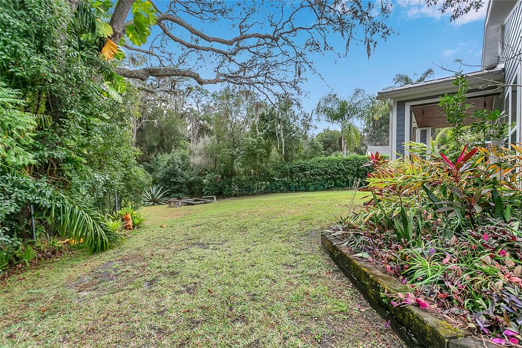 1795 Brumley Road Chuluota, FL 32766 - Photo 33 of 41 a view of a yard with plants and large trees