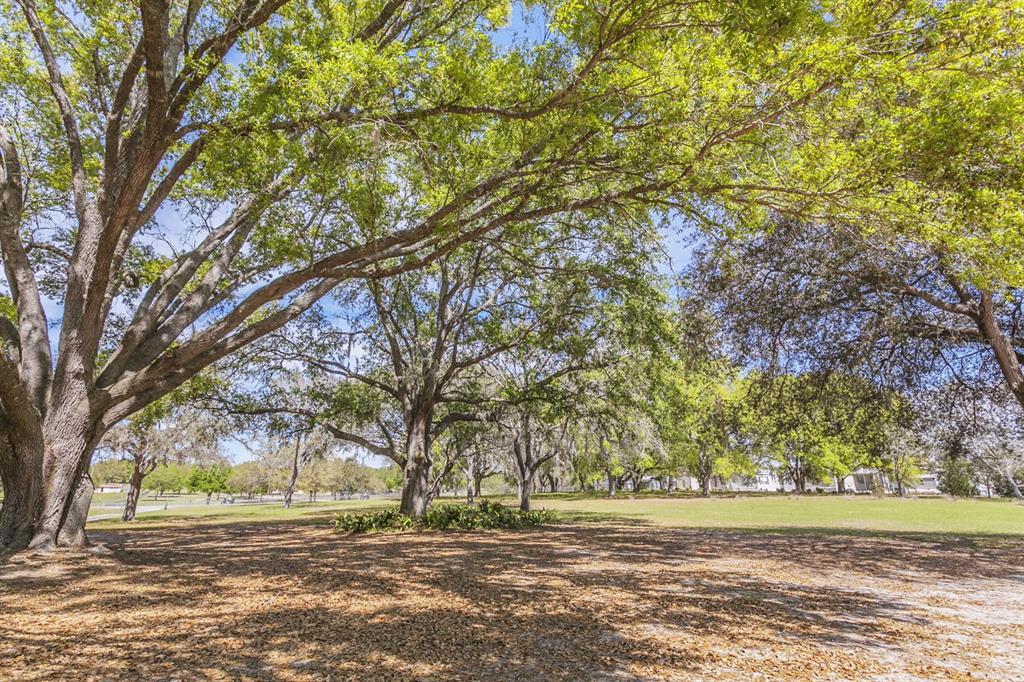 1824 Marion County Road Weirsdale, FL 32195 - Photo 14 of 15