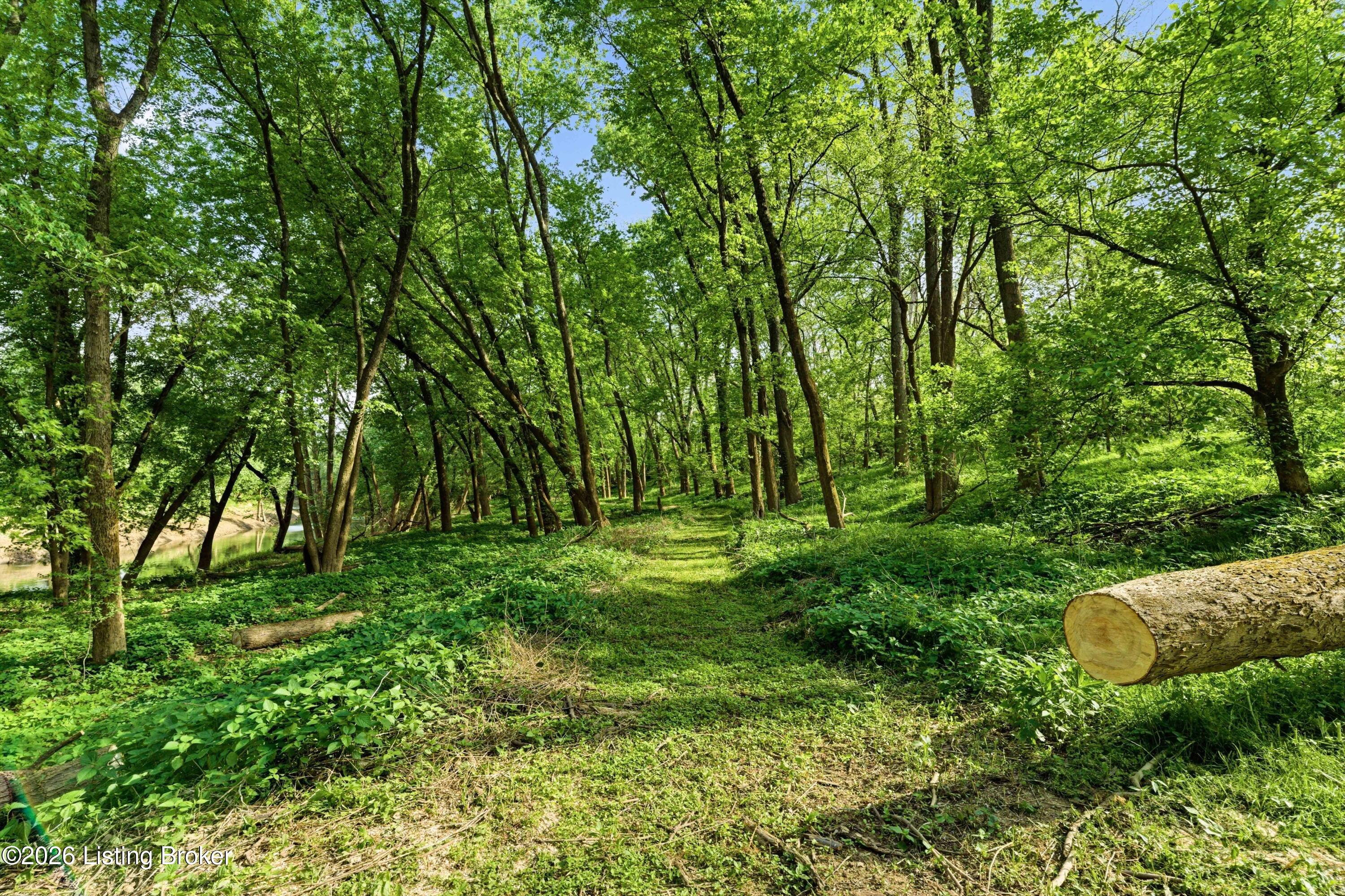 2010 Beech Grv Road Shepherdsville, KY 40165 - Photo 79 of 82 DSC07485