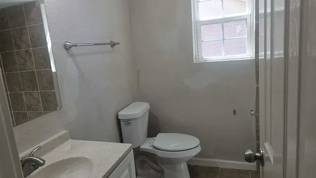 a bathroom with a sink and a toilet
