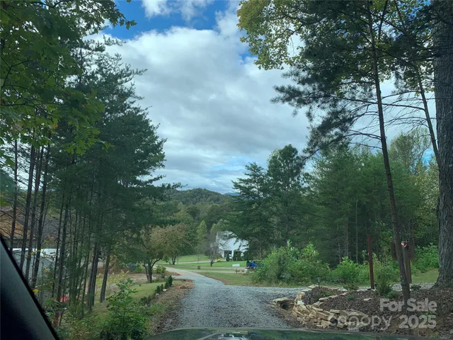 a view of a park with large trees