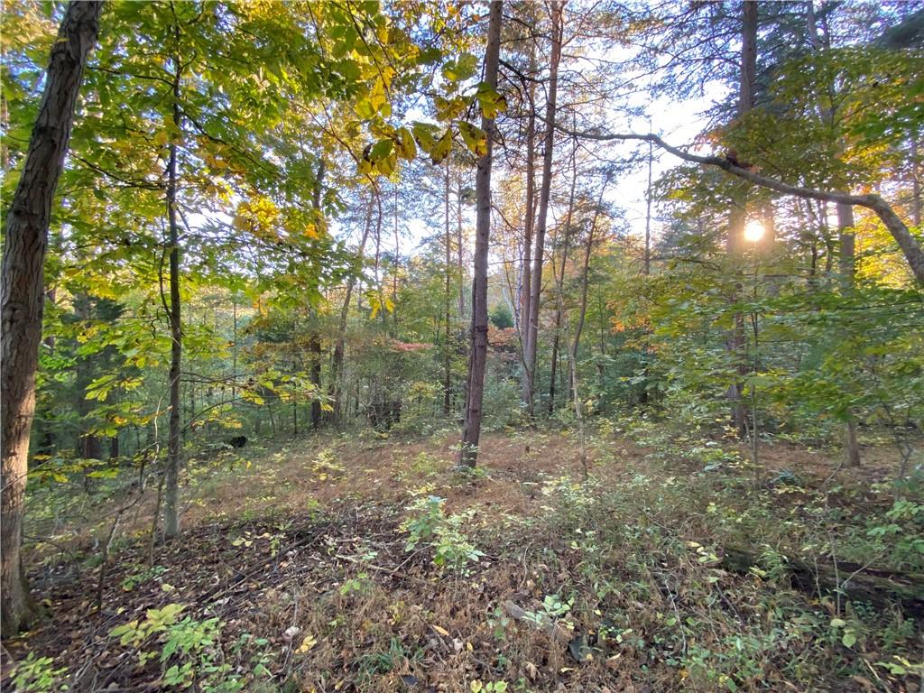 7378 Justins Ridge Road Nashville, IN 47448 - Photo 4 of 7