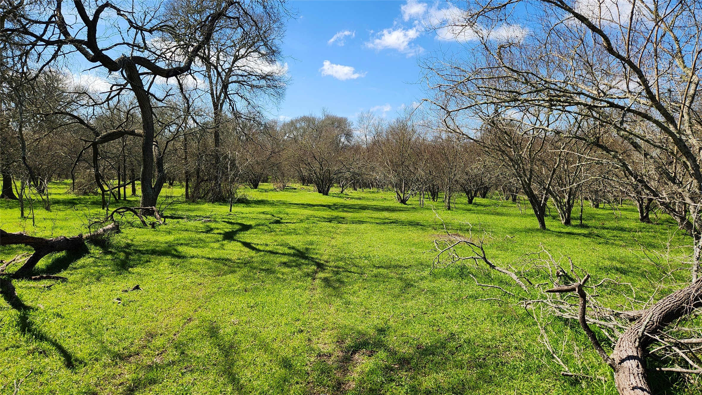 40499 Garrett Road Brookshire, TX 77423 - Photo 1 of 29 a big yard with lots of green space