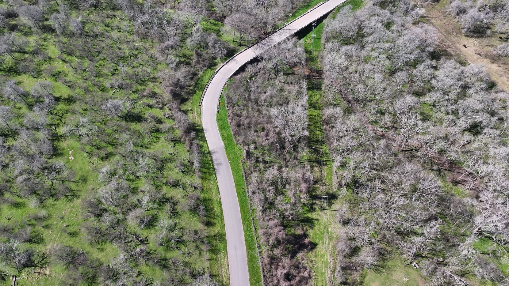 40499 Garrett Road Brookshire, TX 77423 - Photo 11 of 29 a close up of a plant in a backyard