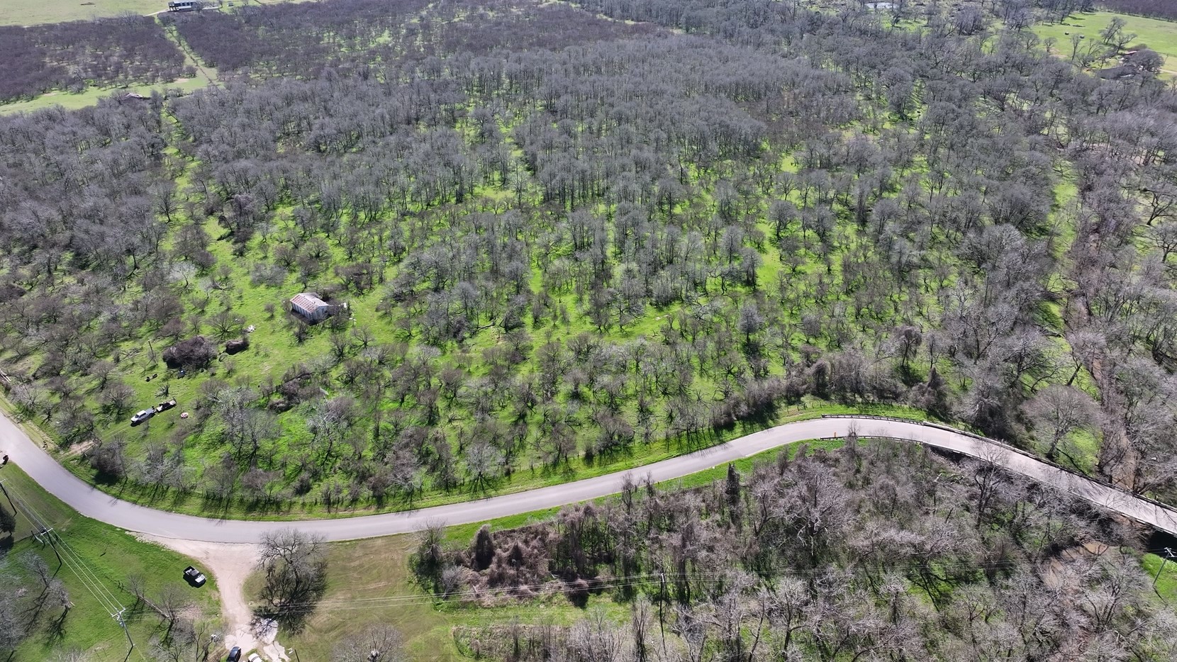 40499 Garrett Road Brookshire, TX 77423 - Photo 16 of 29 a view of a forest