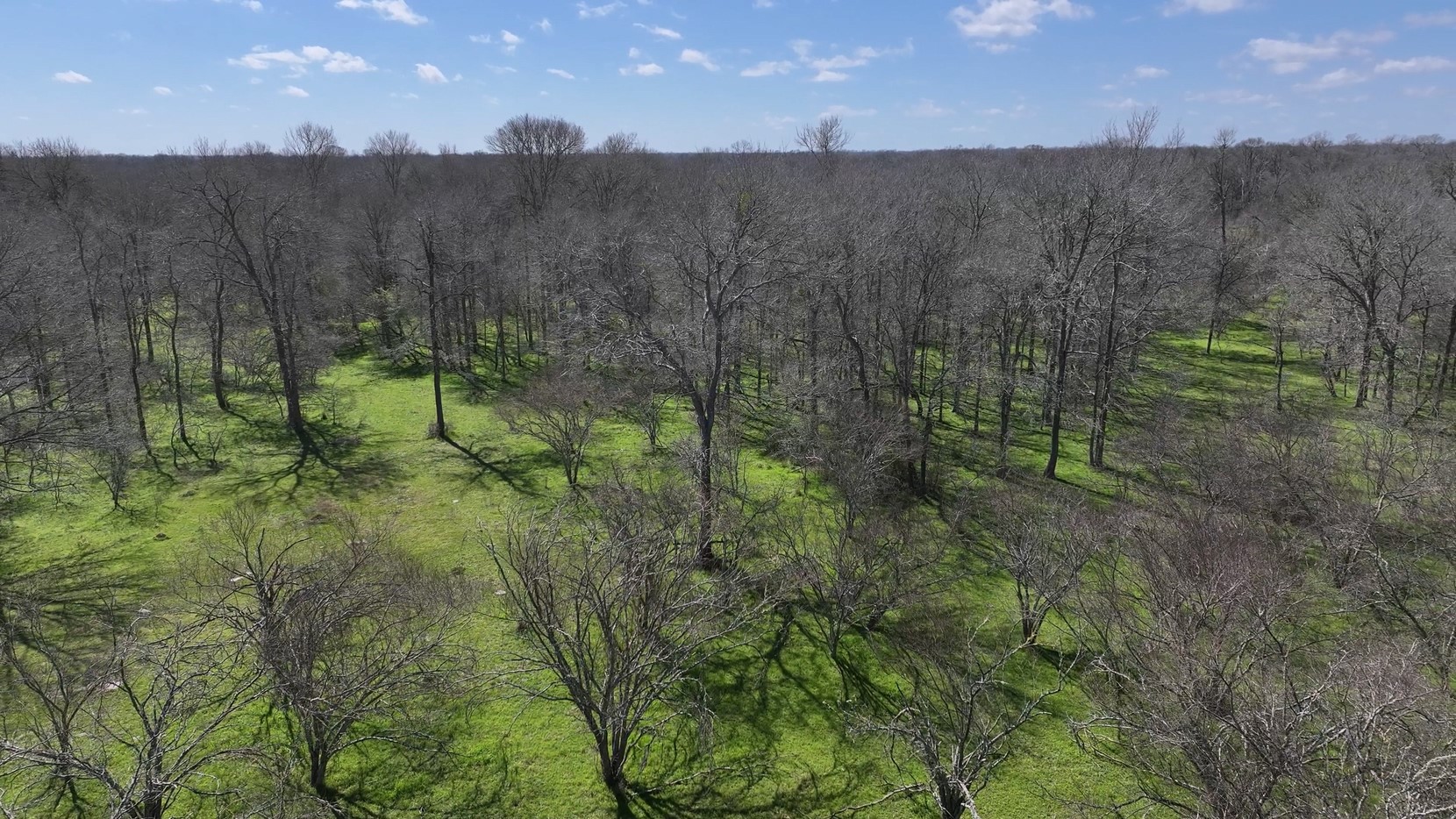 40499 Garrett Road Brookshire, TX 77423 - Photo 21 of 29 a view of a green field with lots of bushes