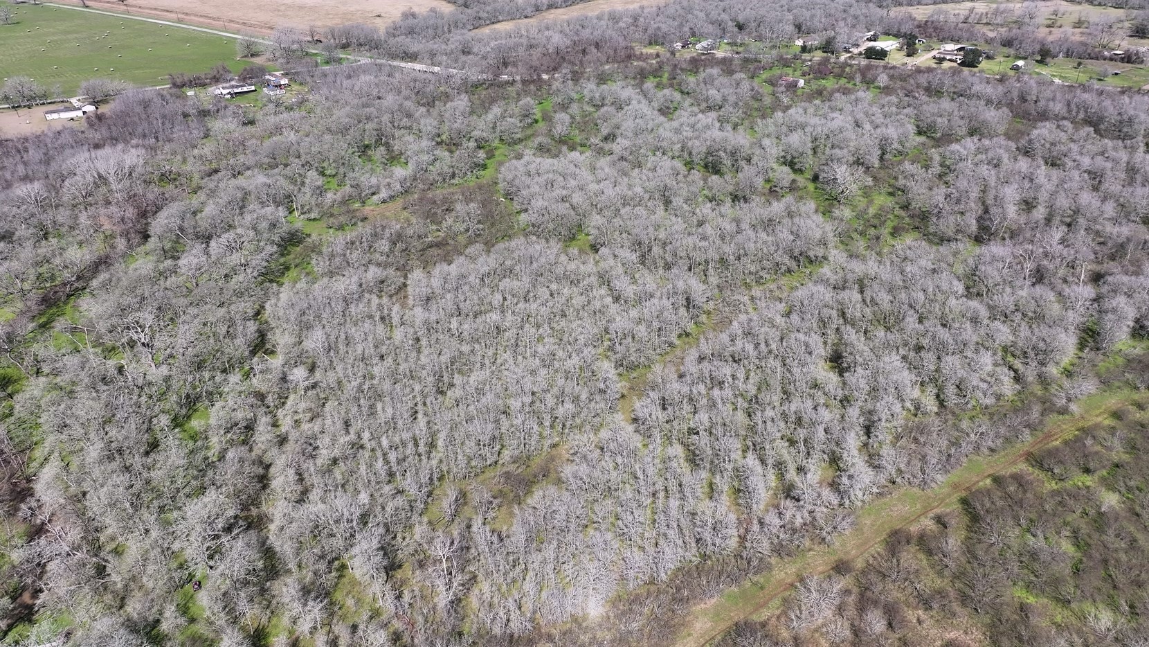 40499 Garrett Road Brookshire, TX 77423 - Photo 24 of 29 a view of a dry yard with trees
