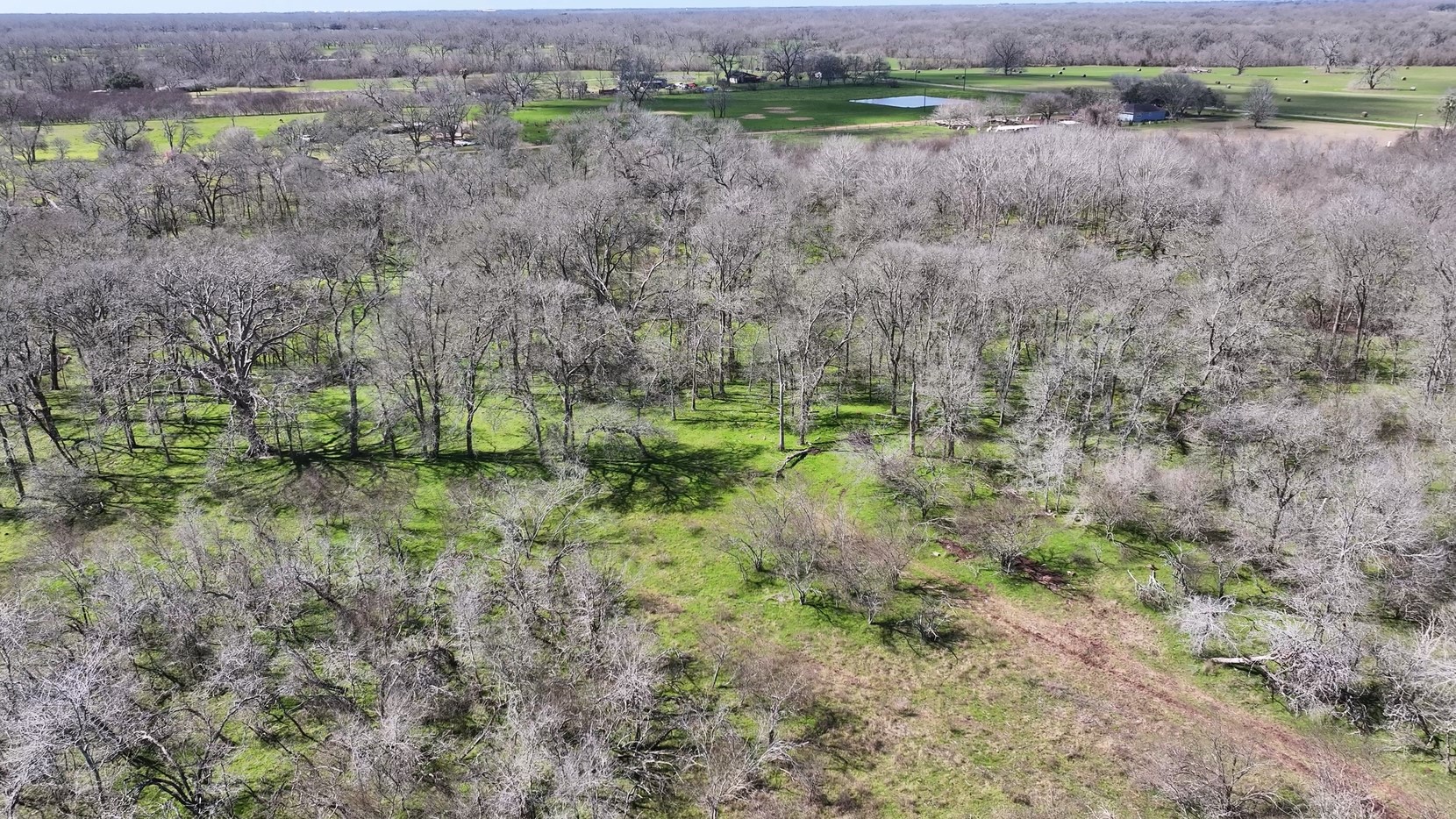 40499 Garrett Road Brookshire, TX 77423 - Photo 25 of 29 a view of a lush green field
