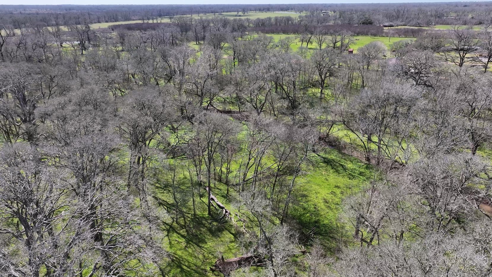 40499 Garrett Road Brookshire, TX 77423 - Photo 26 of 29 a view of a lush green forest with lots of trees