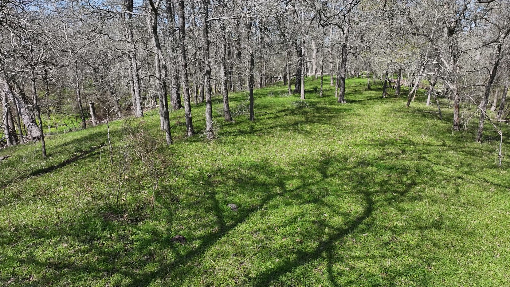 40499 Garrett Road Brookshire, TX 77423 - Photo 27 of 29 a view of a green field with lots of trees