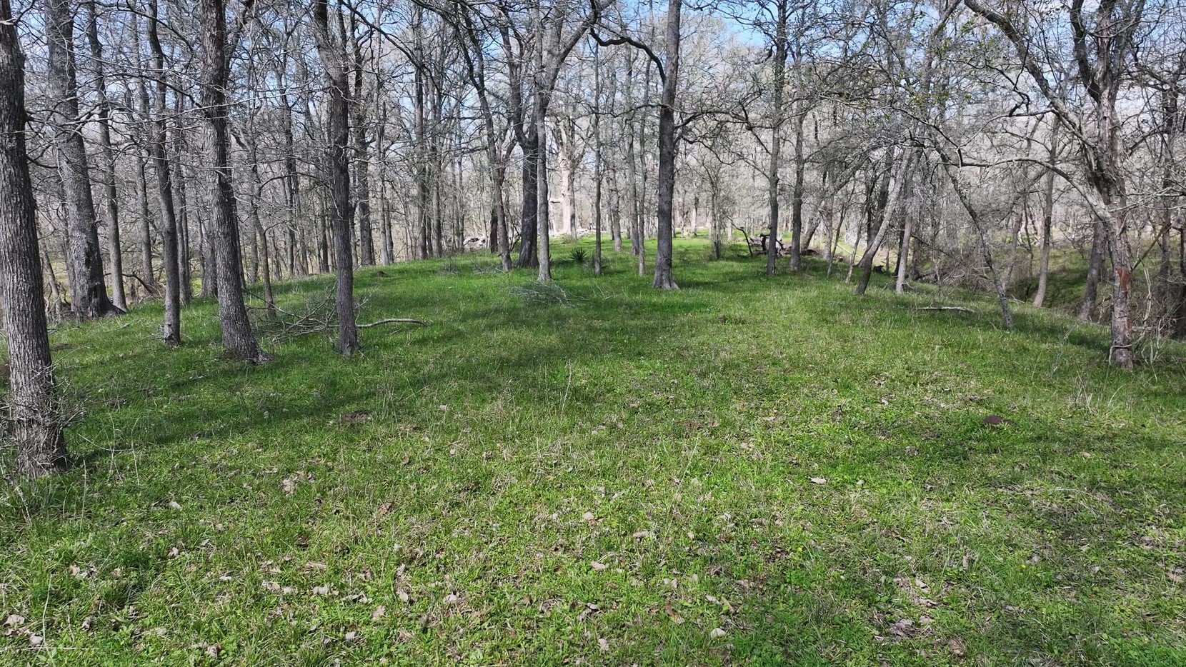 40499 Garrett Road Brookshire, TX 77423 - Photo 28 of 29 a view of grassy field with trees