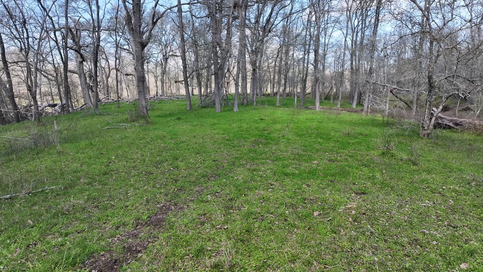 40499 Garrett Road Brookshire, TX 77423 - Photo 29 of 29 a view of grassy field with benches