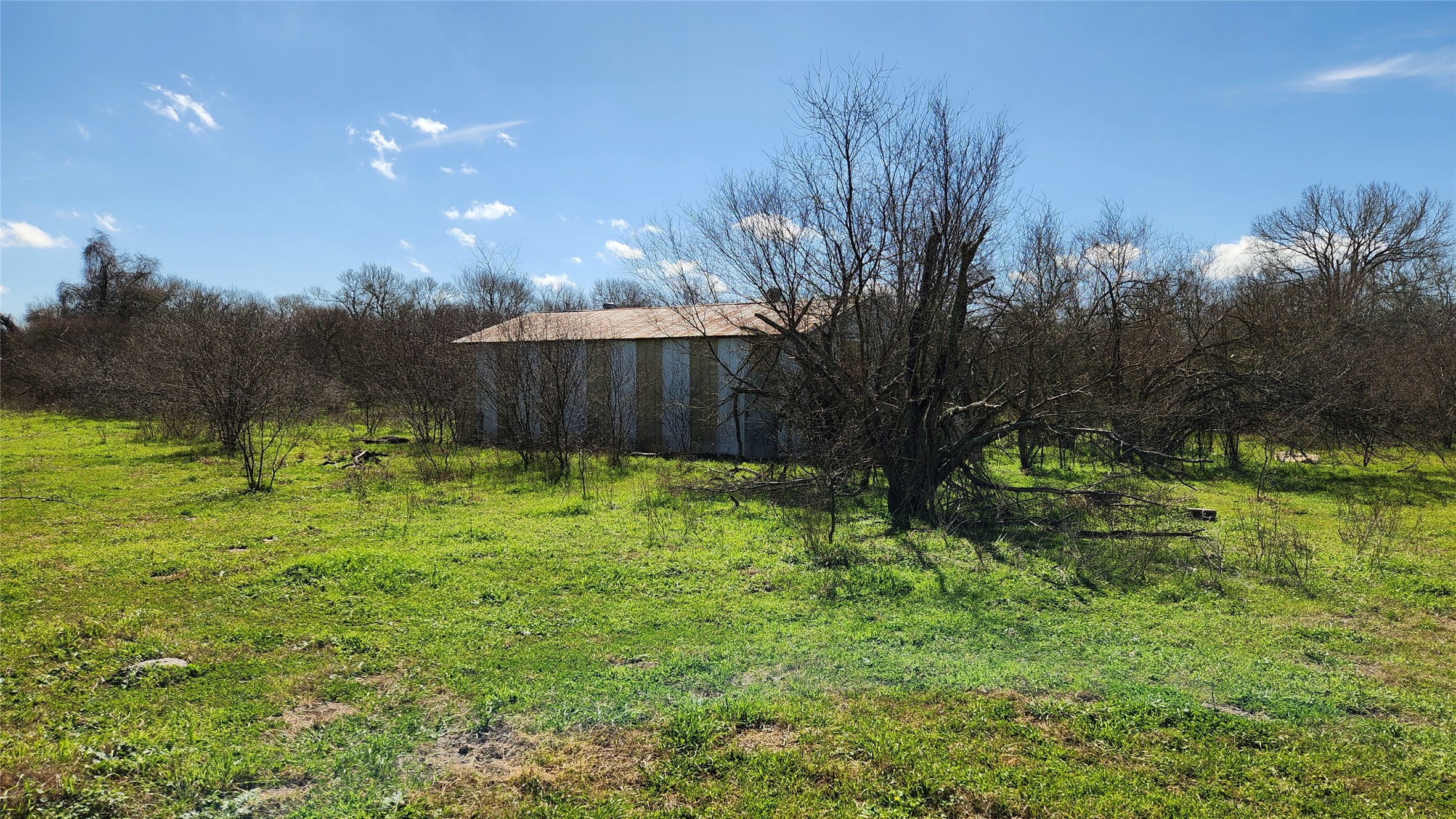 40499 Garrett Road Brookshire, TX 77423 - Photo 4 of 29 a view of backyard with green space