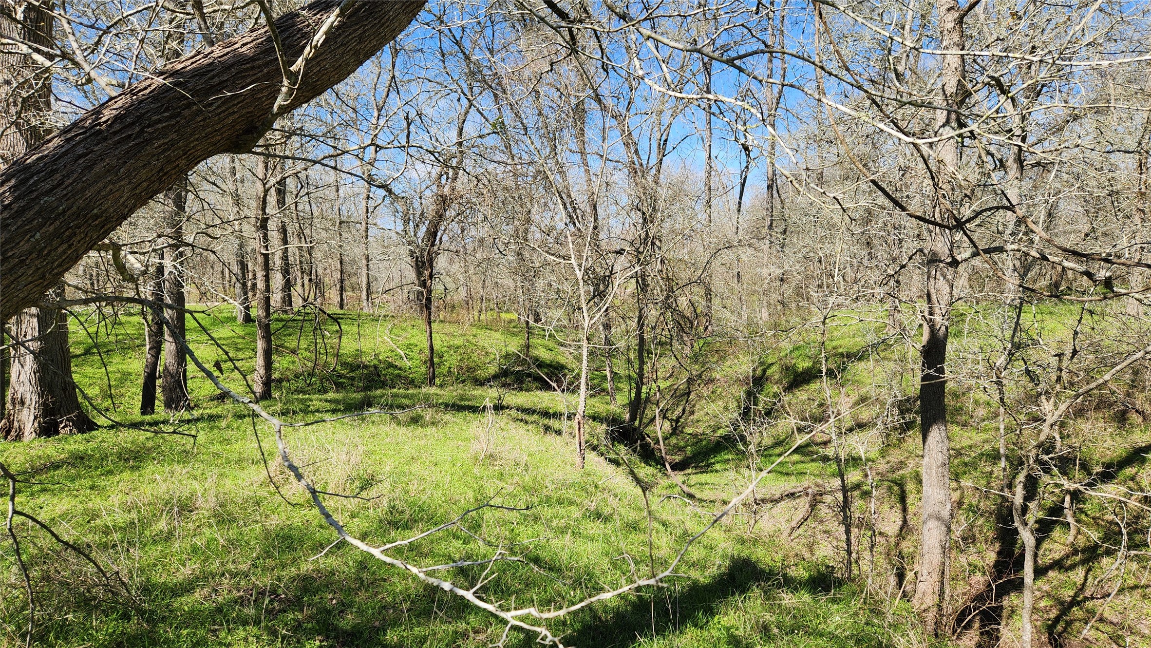 40499 Garrett Road Brookshire, TX 77423 - Photo 6 of 29 a view of swimming pool