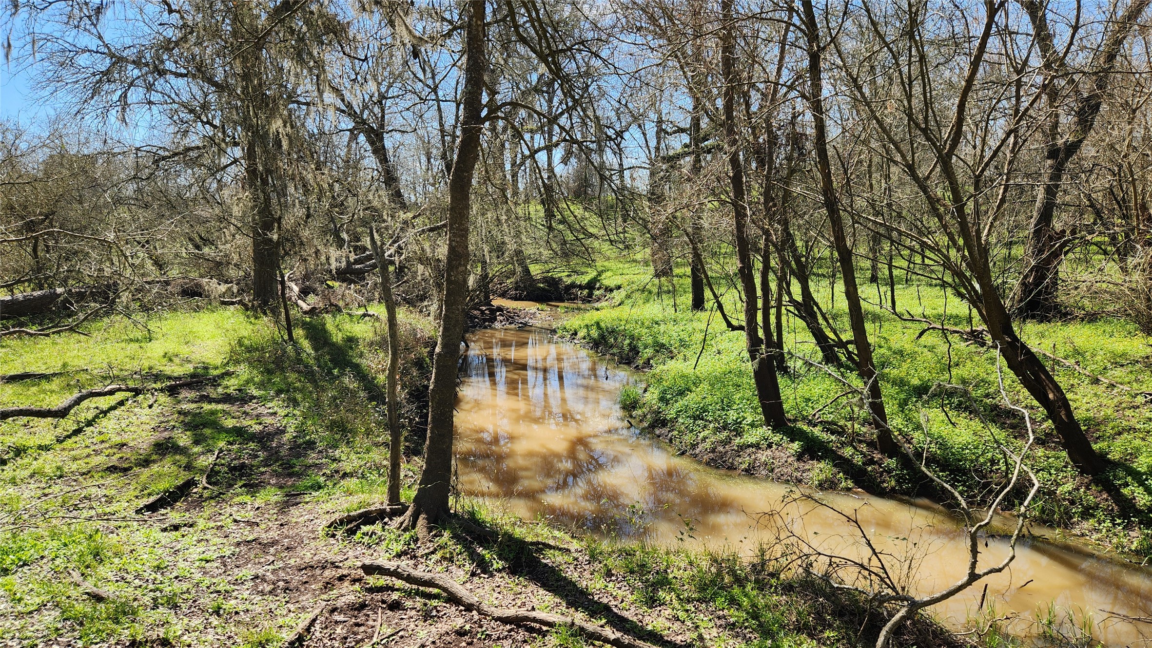 40499 Garrett Road Brookshire, TX 77423 - Photo 8 of 29 a view of yard